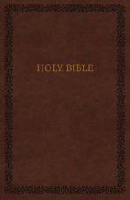 NIV Holy Bible Soft Touch Edition Brown