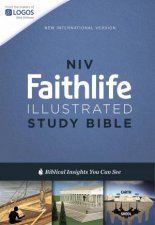 NIV Faithlife Illustrated Study Bible Biblical Insights You Can See