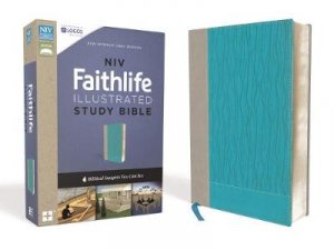 NIV Faithlife Illustrated Study Bible: Insights You Can See [Grey/Blue] by John D. Barry & Derek R. Brown & Michael S. Heiser & Douglas Mangum