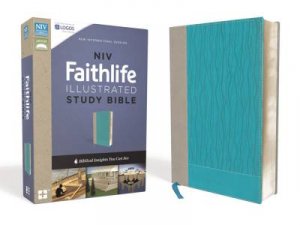 NIV Faithlife Illustrated Study Bible, Indexed: Insights You Can See [Gray/Blue] by John D. Barry & Derek R. Brown & Michael S. Heiser & Douglas Mangum