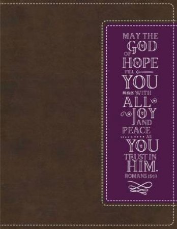 NIV Beautiful Word Coloring Bible And 8-Pencil Gift Set [Brown] by Zondervan