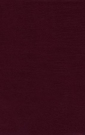 NRSV Thinline Bible [Burgundy] by Zondervan