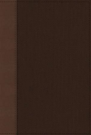 NRSV Cultural Backgrounds Study Bible [Tan/Brown] by Craig S. Keener & John H. Walton