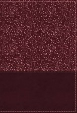 NRSV Cultural Backgrounds Study Bible Burgundy