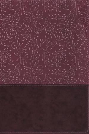 NRSV Thinline Reference Bible (Indexed, Burgundy) by Various