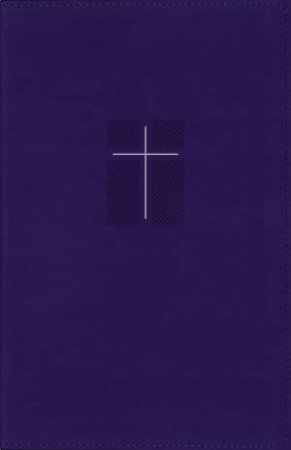 NIV Quest Study Bible, Personal Size, Leathersoft, Comfort Print: The Only Q And A Study Bible (Blue) by Various