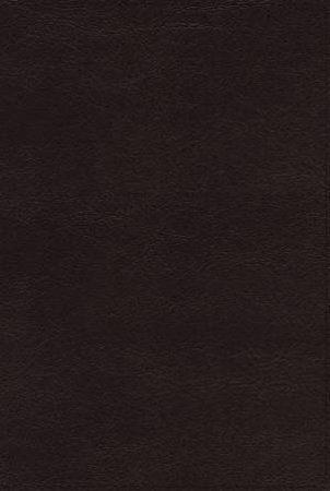 NASB Thinline Bible Red Letter, 1995 Text Edition (Passagio Setting, Large Print, Black) by Various