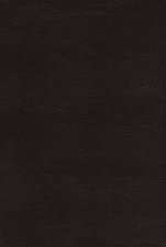 NASB Thinline Bible Red Letter 1995 Text Edition Passagio Setting Large Print Black