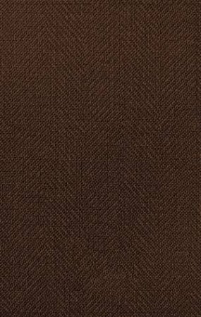 NASB Thinline Bible Red Letter, 1995 Text Edition (Passagio Setting, Large Print, Brown) by Various