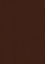 KJV Thompson ChainReference Bible Art Gilded Edges Red Letter ThumbIndexed Comfort Print Brown