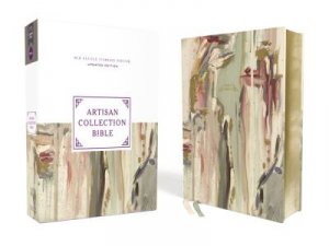 NRSVue Artisan Collection Bible Comfort Print (Multi-Color/Cream)