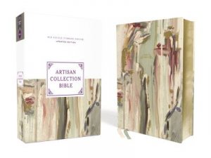 NRSVue Artisan Collection Bible Comfort Print (Multi-Color/Cream) by Zondervan