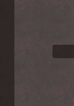 NIV Super Giant Print Reference Bible, Thumb Indexed, Comfort Print (Red Letter, Gray) by Various