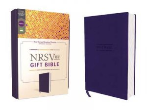 NRSVue Gift Bible Comfort Print (Blue) by Various