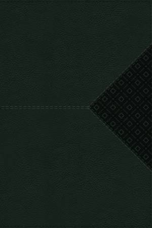 NIV, Compact Center-Column Reference Bible, Red Letter, Comfort Print [Green] by Zondervan