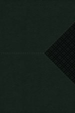 NIV Compact CenterColumn Reference Bible Red Letter Thumb Indexed Comfort Print Green