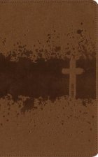 NIV Kids Visual Study Bible Leathersoft Bronze Full Color InteriorPeelStick Bible Tabs Explore the Story of the Bible  People Places