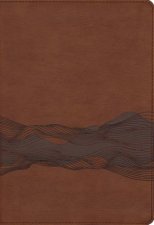 NIV Timeline Bible Red Letter Comfort Print A Chronological Journey through Scripture