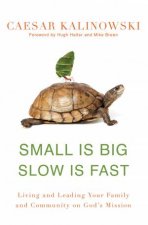 Small is Big Slow is Fast
