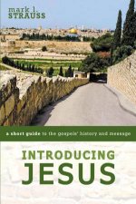 Introducing Jesus A Short Guide To The Gospels History And Message