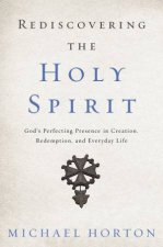 Rediscovering The Holy Spirit Gods Perfecting Presence In Creation   Redemption And Everyday Life