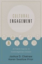 Cultural Engagement A Crash Course In Contemporary Issues
