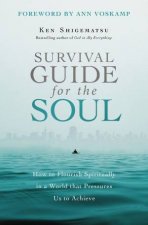 Survival Guide For The Soul How To Flourish Spiritually In A World ThatPressures Us To Achieve