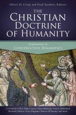 The Christian Doctrine Of Humanity Explorations In Constructive Dogmatics