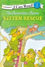 The Berenstain Bears Kitten Rescue