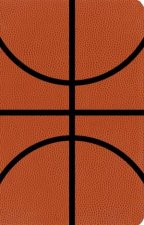 Sports Collection Bible NIV Basketball