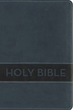 NIrV Gift Bible Blue by Zondervan