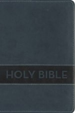 NIrV Gift Bible Blue