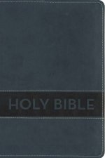 NIrV Gift Bible Blue