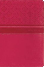 NIrV Gift Bible Pink