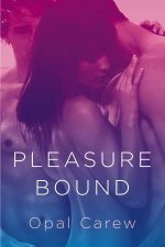 Pleasure Bound