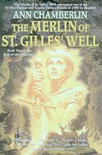 The Merlin Of St Gilles Well
