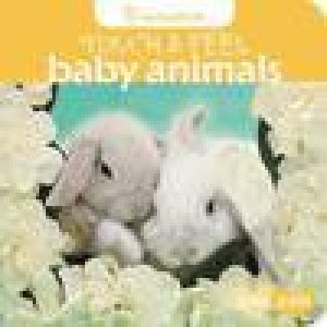 Touch and Feel: Baby Animals by Rachael Hale