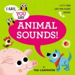 I Say You Say Animal Sounds