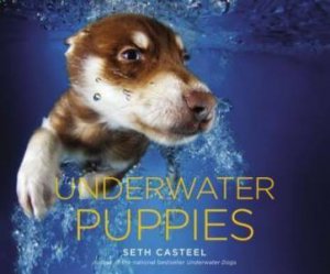 Underwater Puppies by Seth Casteel