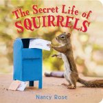 The Secret Life Of Squirrels