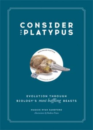 Consider The Platypus by Maggie Ryan Sandford & Rodica Prato