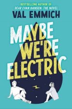 Maybe Were Electric