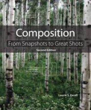 Composition Snapshots to Great Shots