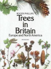 Trees In Britain Europe And North America