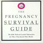 The Pregnancy Survival Guide