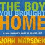 The Boy You Brought Home A Single Mothers Guide To Raising Sons