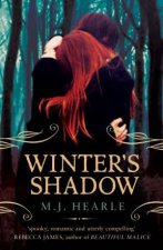 Winters Shadow