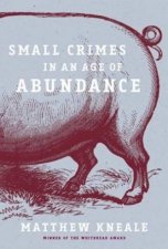 Small Crimes In An Age Of Abundance