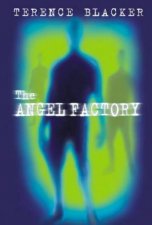 The Angel Factory
