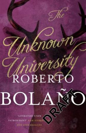 The Unknown University by Roberto Bolano